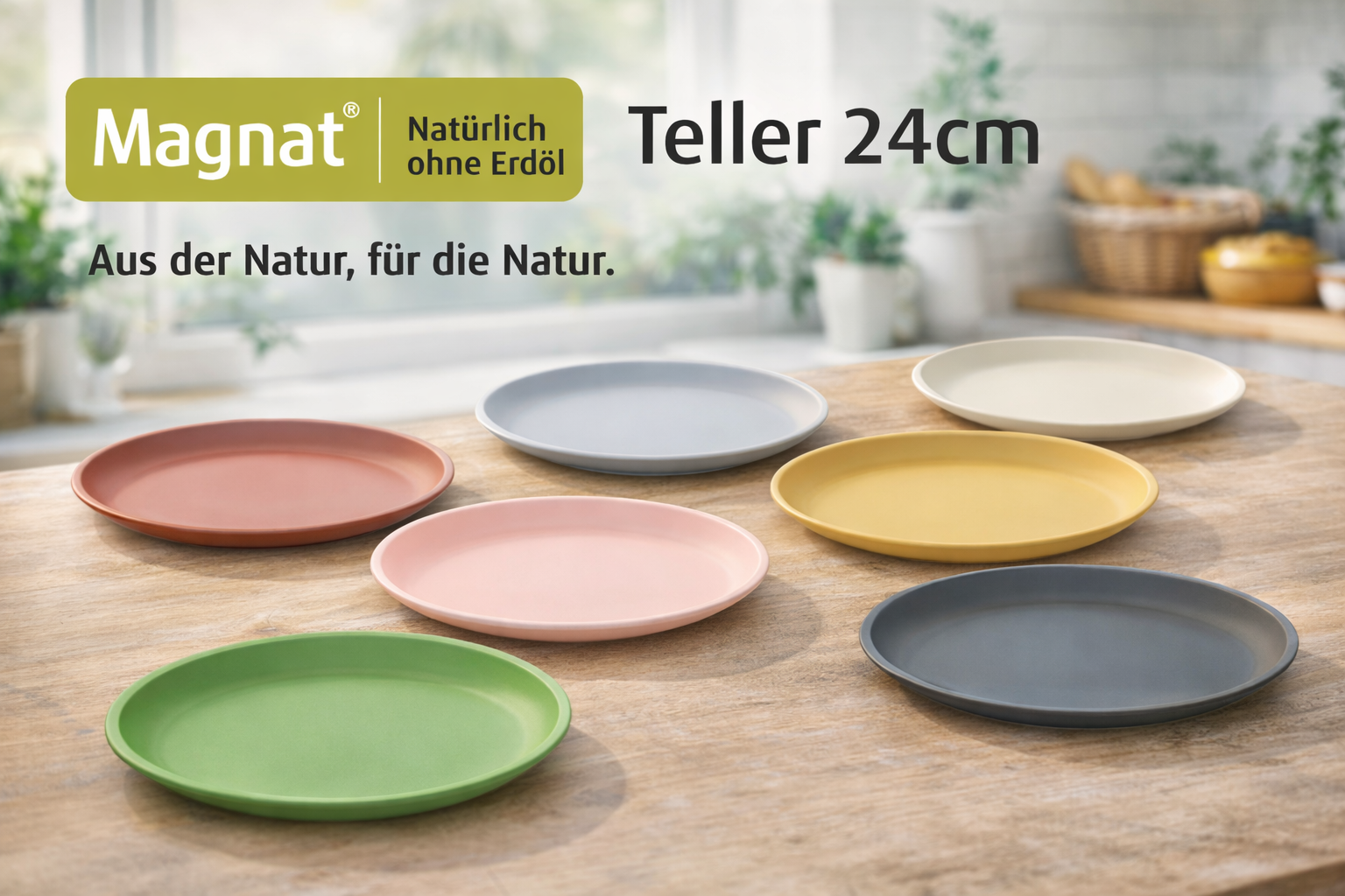 Teller 24cm